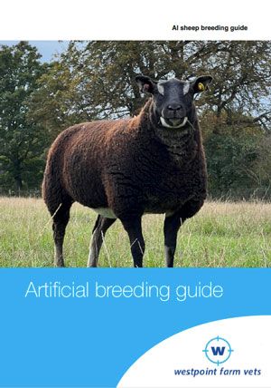 Breeding Guide