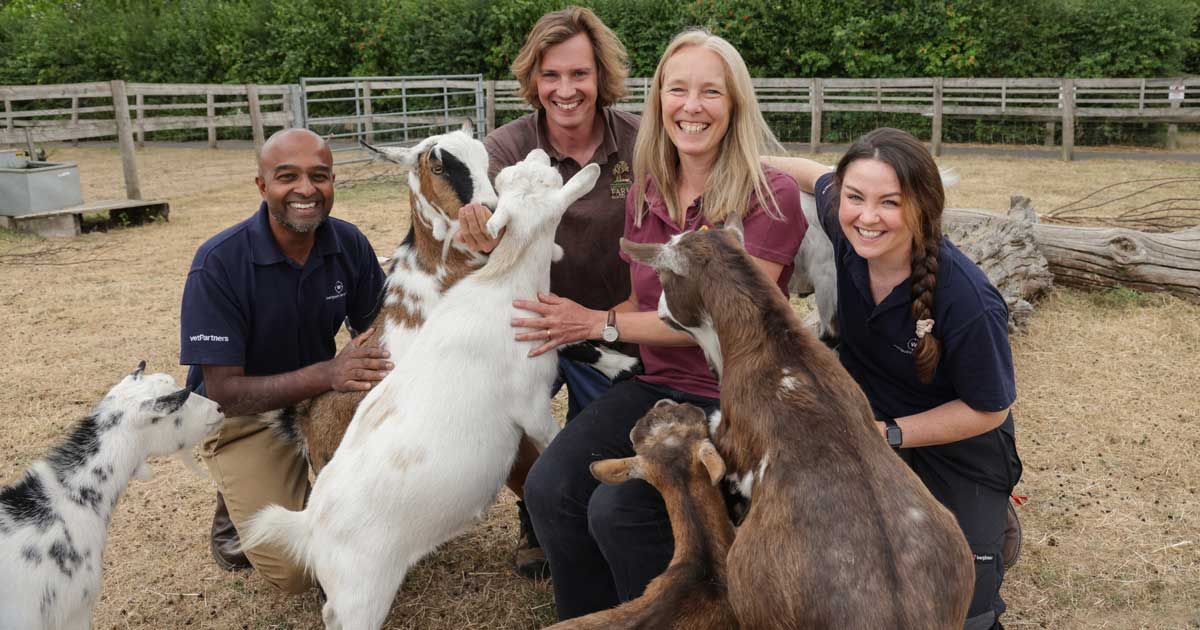 westpoint chelmsford - smallholder - community - vacancies